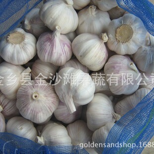 ���l���� �S��ֱ�N �r�񃞻� �gӭ�xُ���� �r������