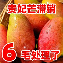 ���ں����F��â���râ������ˮ����������â���������t�������