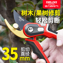 ֦ӈ@ˇ辰֦@ֹߵ֦lʡ