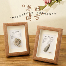 天然古生物化石相框玻璃原木挂画三叶虫菊石海洋动物桌面工艺品摆