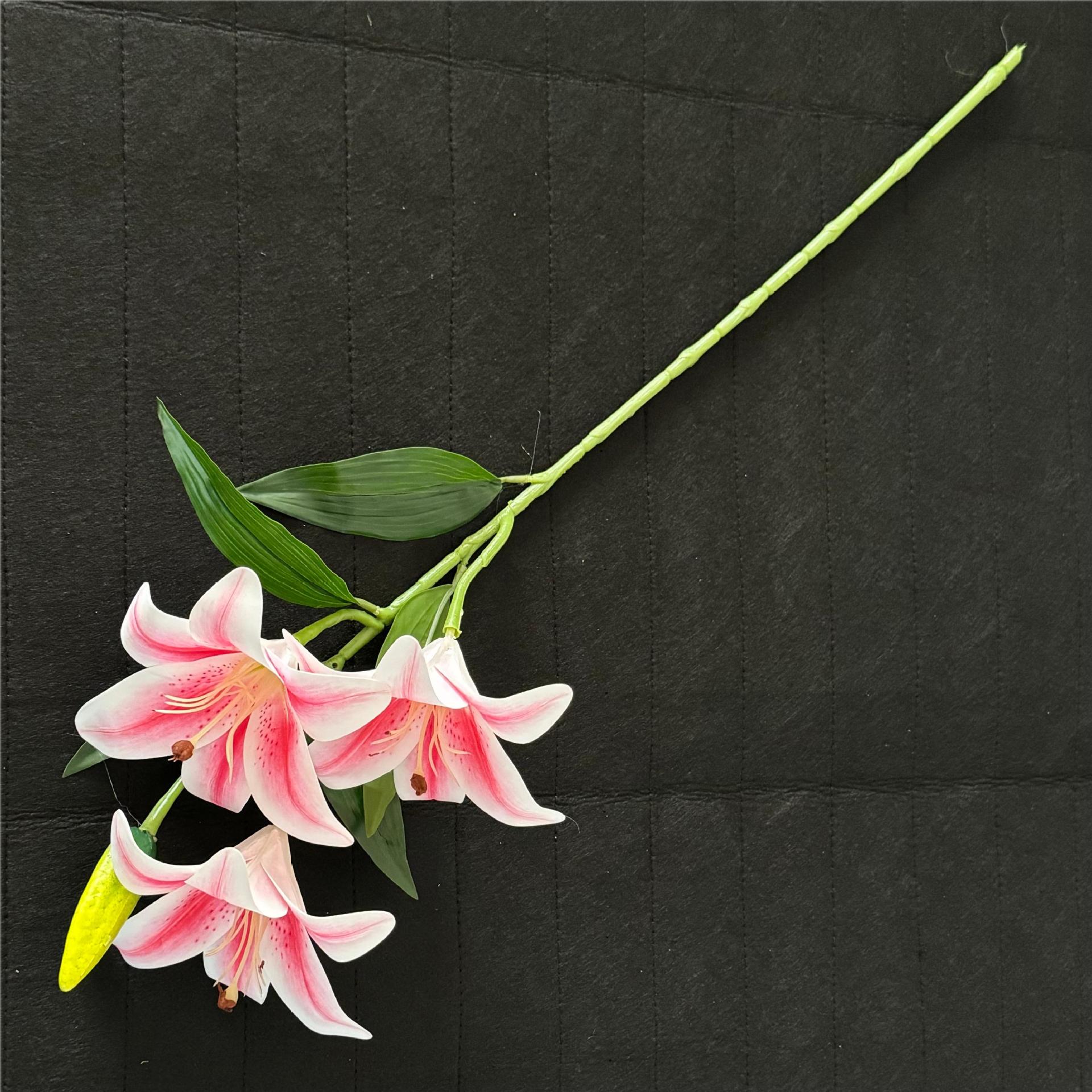 분홍색