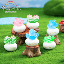 微景观仿真多肉植物盆栽熊童子玉露树脂小摆件桌面汽车装饰品配件