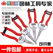 ������ϡ�������Ѳɹ������ټ������߹���ժ�������@��֦��ժ����