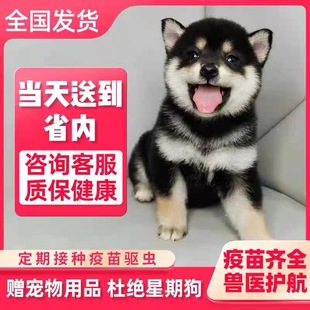 ���N��Ȯ��Ȯ�ձ���Ȯ����С��Ȯ�������ɫ��Ȯ��Ȯ���w���ﹷ