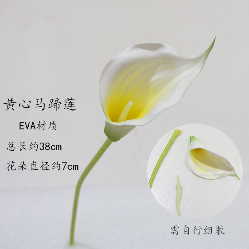 옐로우 하트 칼라