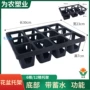 蓄水加厚多肉塑料托盘