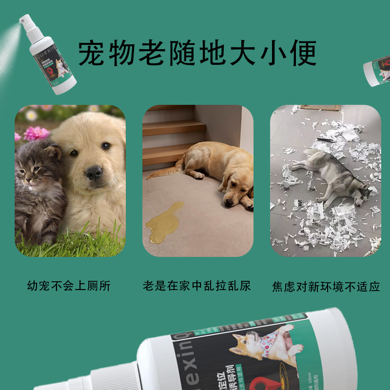 誘導剤犬のトイレ誘導剤犬の大きさはトイレに行って小便をします。|undefined