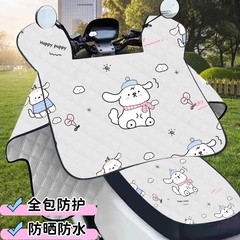 電気自動車の防風は夏の日よけ防水の日よけカバーの全カバーの薄いタイプのバッテリーのオートバイの四季通用のマントです。