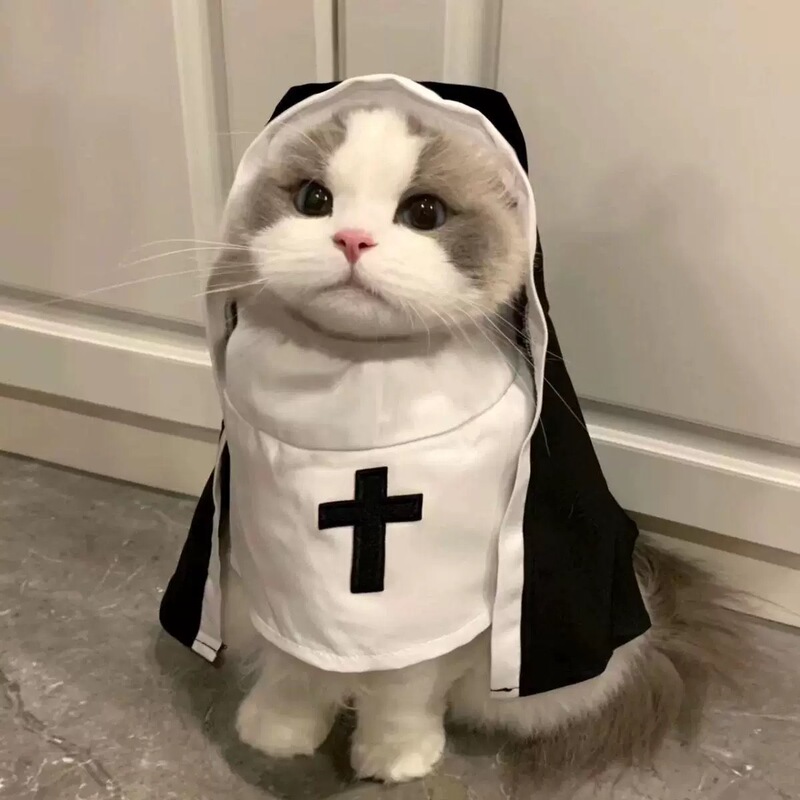 Pet Halloween Costume Nun Outfit Funny Cosplay Photo Prop Hoodie British Shorthair Dog Clothes Gothic Style