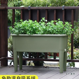 �N�ˌ������߲˷Nֲ��N��������ͥ�̨���ٻ�����_������⻨��