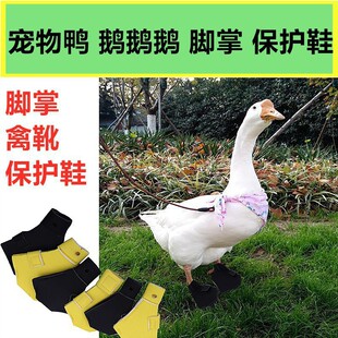 �羳������Ʒ�����ZЬ ������� ����_����ѥ���oЬ