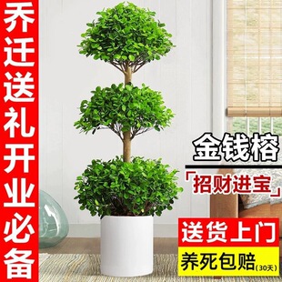 �u�X�����Խ��X���k���Ҵ��Ͱlؔ����w�_�I�Y���҃ȿ͏d�Gֲ��ؔ