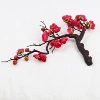 Bonsai plum blossoms red