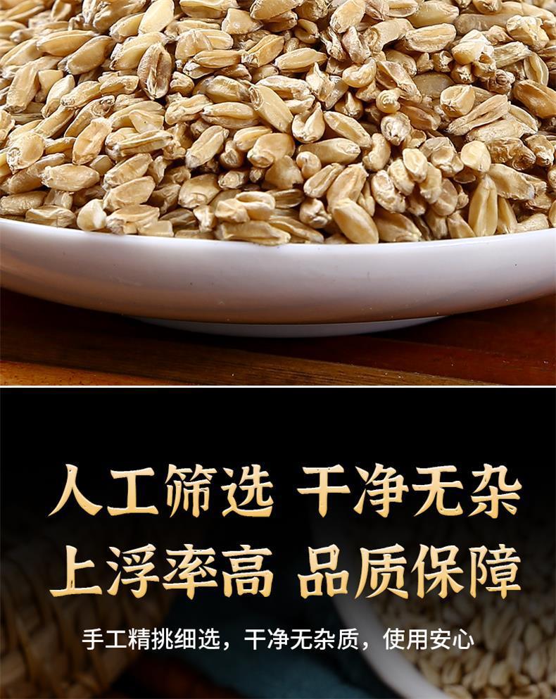 Fu Xiao Mai Floating Wheat 500g Dried Triticum aestivum Herbal Tea Grain key features