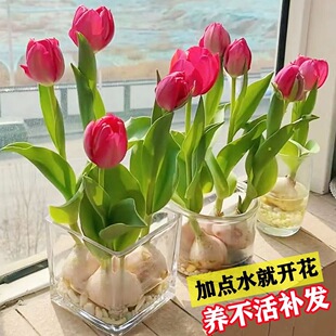 �����B���҃Ȼ���ֲ�����Ի����������w�N��ˮ��5���_���ļ��N��