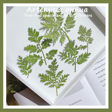 �������~���uͨ؛Դ���lĘ�������N��/����b���DIY�֙C��̨��