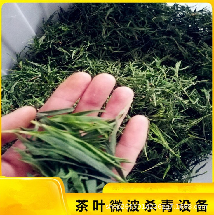 金银花茶叶荷叶茶叶微波杀青机 杀青固色一体机 快捷效果好