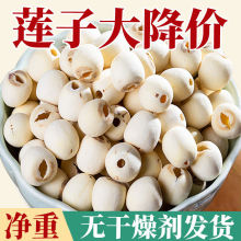 o2024rɏӸ؛rĥƤɏҰȥоɏlɏ