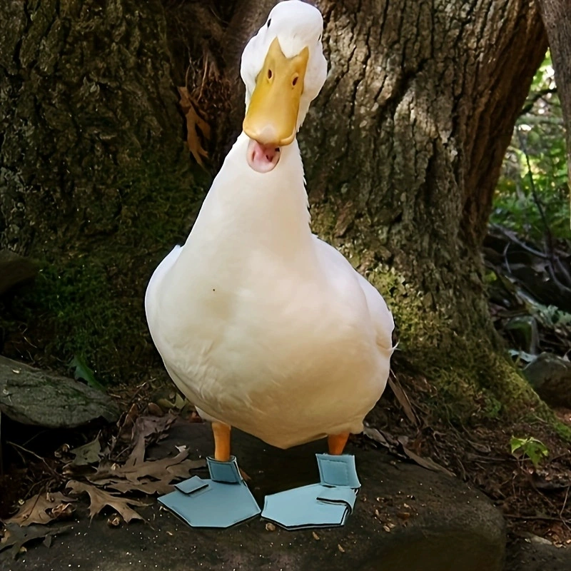 Новая модель уличная утка обувь утка ноги обувь противоскользящие обувь декоративная обувь травма наружная обувь ноги