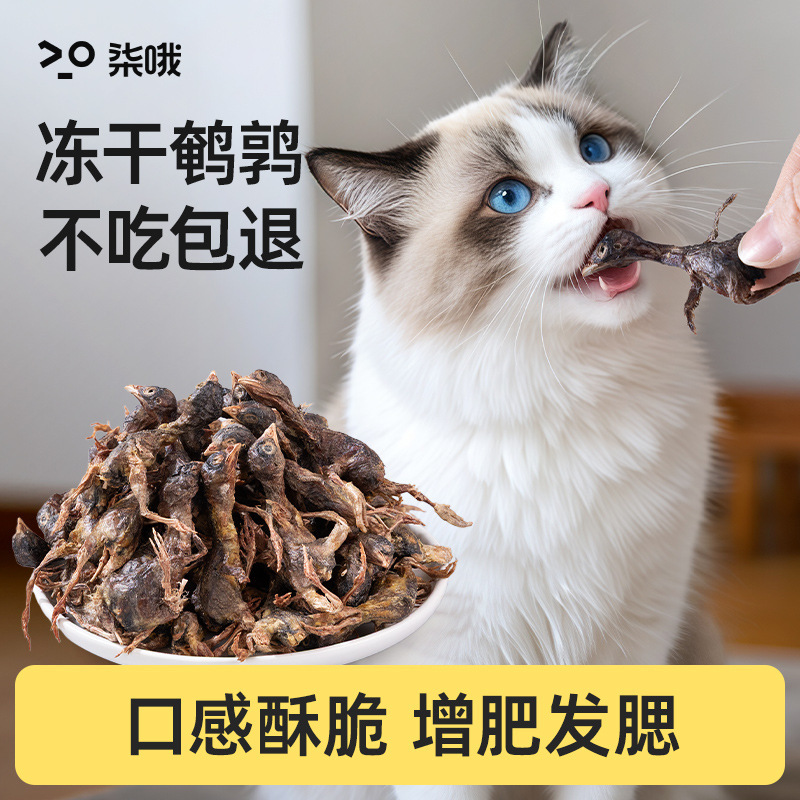 Quail Freeze-Dried Cat Snacks, Cat Snacks for Weight Gain, Cheek Growth, Bone and Teeth Grinding, Calcium Supplement, Pet Dog, Adult and Kitten Food