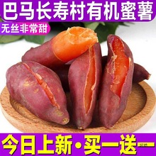 【包邮】广西小蜜薯2-10斤新鲜沙地西瓜红心红薯黄心板栗番香甜薯