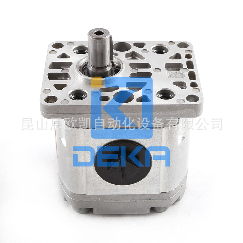 法国HPI齿轮泵	P1BAN2015FL20C02N(C5089551)