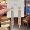 Long silver needle, advanced earrings from pearl with tassels, crystal earings, silver 925 sample, french style, city style, high-quality style, internet celebrity