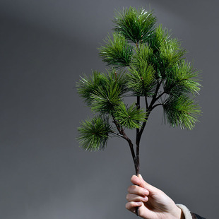 �����������_�h����°��ɘ�֦�~���辰�Ĕz���ߘ��b[���쾰