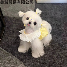 ����؈�乷���ɐ��R�����Ϲ�ȹ���ļ�����·������ë�R����˹