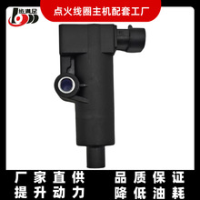 DELPHI德尔福圆插高压包摩托车配件点火线圈28198992
