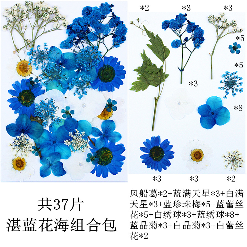Paquete de material de estampado de flores secas Paquete de combinación de flores presionadas Flor real Hoja de espécimen pegatinas