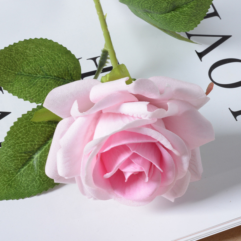 Elsa Rose Powder Core