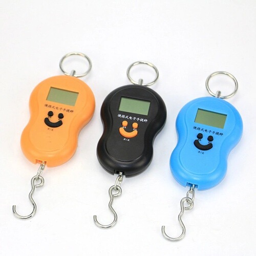 Portable Electronic Scale, Household Small Scale, Spring 50KG High Precision Mini Foldable Courier Scale Hook Vegetable Hanging Scale
