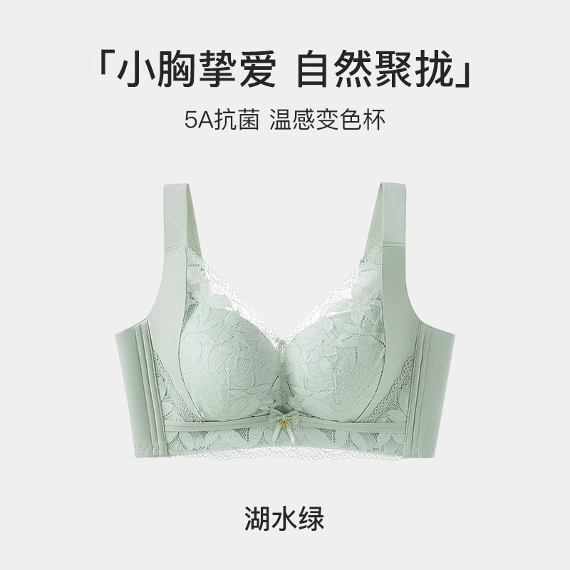 新款蕾丝内衣文胸女士聚拢小胸收副乳防下垂无痕固定杯调整型胸罩|undefined