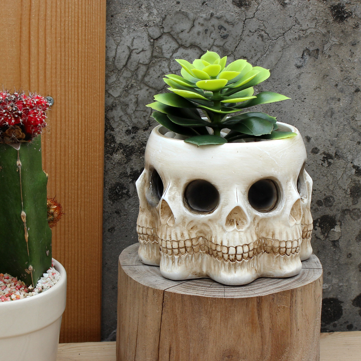 Multi-faceted Skull Resin Fleshy Flower Pot Green Plant Flower Pot Personalized Creative Ghost Head Flower Pot Halloween Candy Bowl