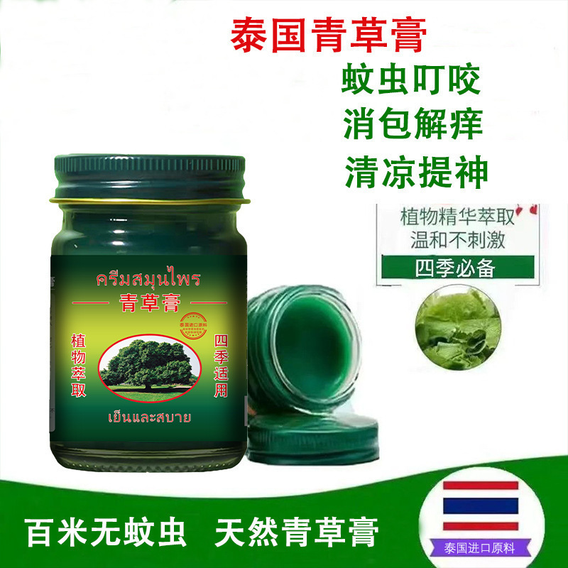タイの青草ペーストは四季を通じて屋外の家庭の清涼ミント清涼ペーストを利用できます。|undefined