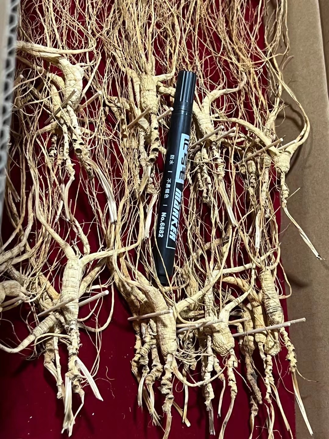 45003F22-3B8C-457E-80D4-7DCCE7