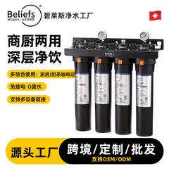 Bilais 商業用浄水器直飲みミルクティーショップ大流量水道水フィルターコーヒーショップ製氷浄水器