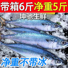 �T�E�~��ռ�~С�E�~�໨�~���r���~�ك���o���������~���~5��