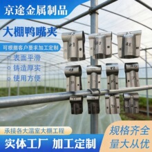 �S�����l����������쿨����̖䓹�T�Ϳ��A��������������A