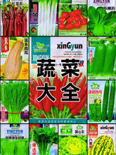 ߲˷NļN̨ͥԺS}С[ݴȫ