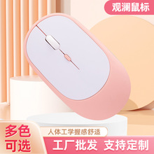 ���S���l����{����� 2.4G�pģƽ��Pӛ���o�������k������