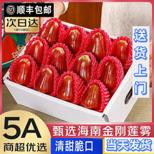 �ڽ���ɏ�F���rˮ��5�� �����ЋD������������Ů��������S���]