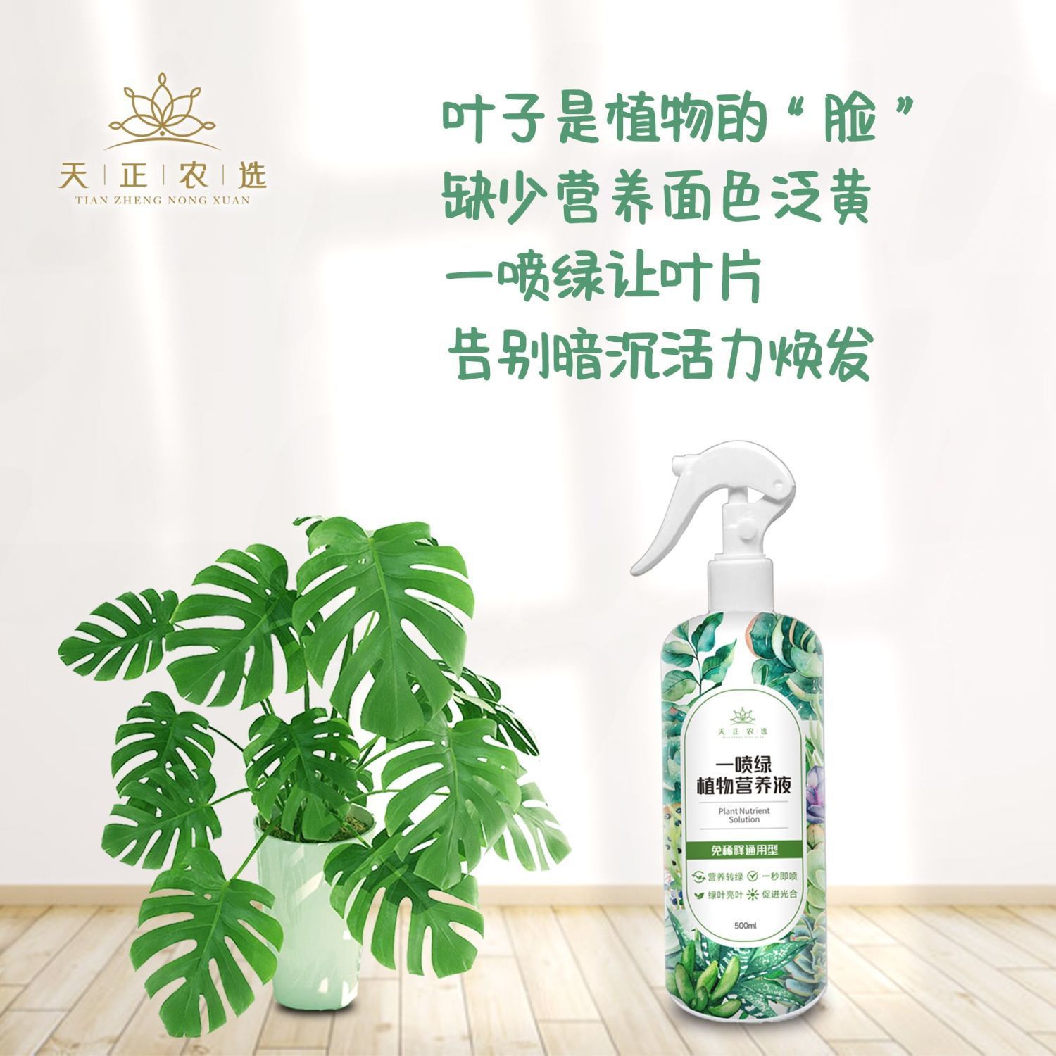 黄叶一喷绿家庭园艺免稀释绿萝龟背竹吊兰绿植通用型天正农选速效