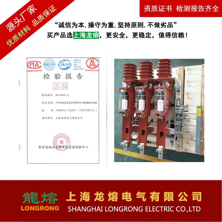 VSARC-12/T200-31.5 真空负荷开关 熔断器组合电器 上海龙熔电气