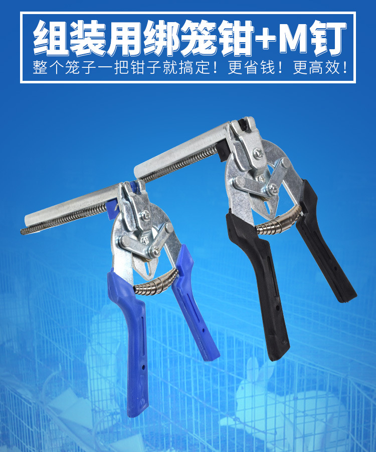 详情_01.jpg