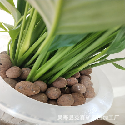 厂家批发大小陶粒水培绿化园艺盆栽垫底种植种菜花卉建筑陶粒回填|ms