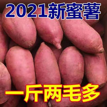 【超實惠】農家自種新鮮紅薯現挖地瓜黃沙地板栗蜜薯批發軟糯香甜