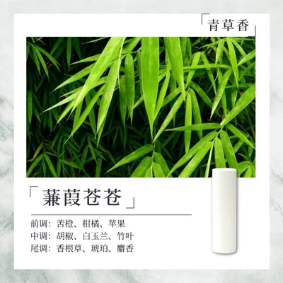 Replacement Core 10.5*38mm, Compatible — Car Perfume Aromatherapy - the-reeds-are-green-10538mm