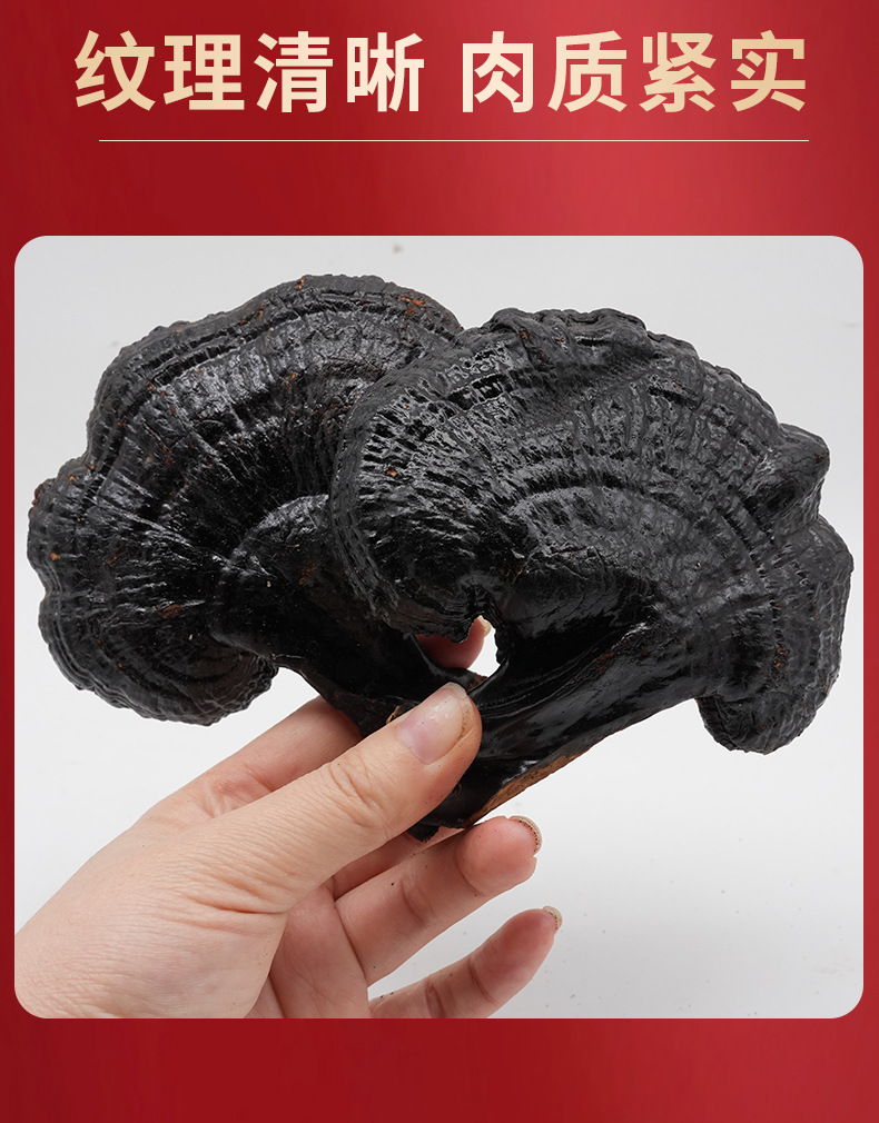 Black Lingzhi Whole Dried Reishi Mushroom 500g Changbai Mountain Hei Ling Zhi for Soup and Tea specifications